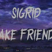 Sigrid Fake Friends Lyric Video