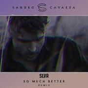 Sandro Cavazza So Much Better Slvr Remix