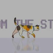 From The Start Meowfey 1H