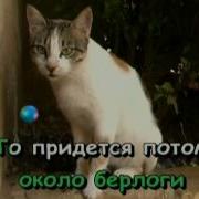 Не Дразните Собак Минус