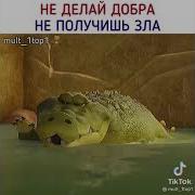 Дорога Домой Мультфильм Shorts