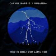 Calvin Harris This Is What You Came For Instrumental