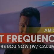 Lost Frequencies Calum Scott Where Are You Now Amice Remix