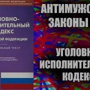 Уголовно Исполнительный Кодекс
