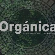 Organic Electronic