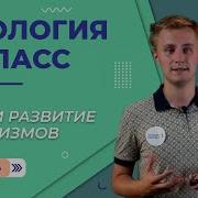 Биология 9 Класс Сивоглазов