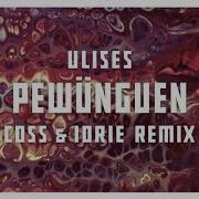 Ulises Pewünguen Coss Iorie Remix