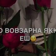 1Уьйре Суьйре Хаз Йина