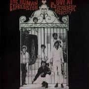 The Human Expression Every Night Demo Version
