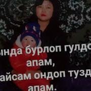 Апа Мен Сизди Жакшы Кором Видео
