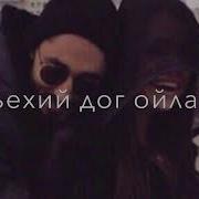 Ас Даим Хьоьга Сай Безамца Хьехий Дог Ойла