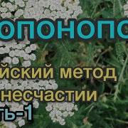 Люк Бодэн Хоопонопоно