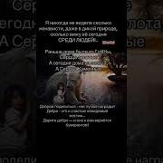 Психолог Души Музыка