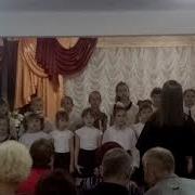 У Котяток Лапки Мягкие Подушки