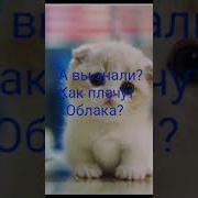 Как Плачут Облака