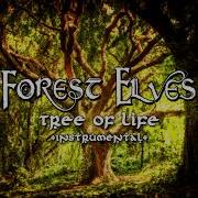 Tree Of Life Instrumental