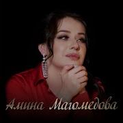 Амина Магомедова Долалай