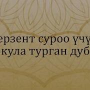 Перзент Суроо Үчүн Окула Турган Дуба