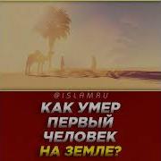 Передачи Про Пророка Адама
