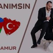 Zamin Amur Cananimsin