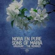 Nora En Pure Uruguay Dbmm Radio Mix