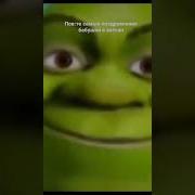 Катюша Это Я Твой Друг Шрек
