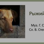 Песенка Рыжий Пес
