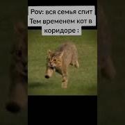 Этот Повелитель Дорог Создан Для Гоночной Трассы