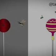 Абдуллох Хижоб Ва Хижобсиз Аёл Фарки Куринг Тасирли Вадео