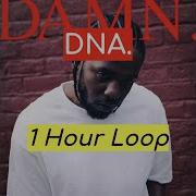 Dna 1 Hour