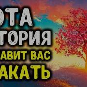 Истории Которые Заставят Плакать