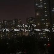 Cut My Lip Acoustic Remix Twenty One Pilots Lyrics