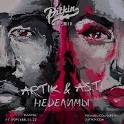 Неделимы Dj Pitkin