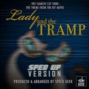 The Siamese Cat Song Sped Up