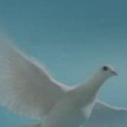 In Your Presence
