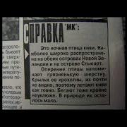 Святочный Киберпанк Пелевин
