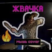 Мышь Жвачка Кавер