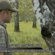 Аромашевский Район Flv