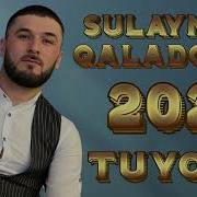 Сулаймон Каландаров Туёна