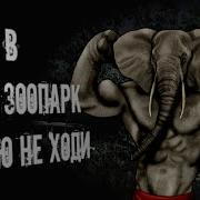 В Мге Зоопарк Ночью Не Ходи