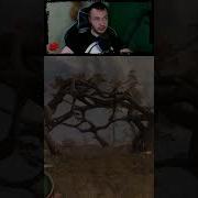 Stalker Секретное Место Артефакт