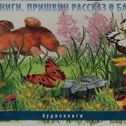 Притча О Бабочке