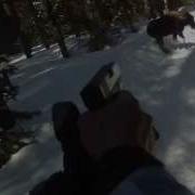 Black Moose