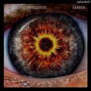 Breaking Benjamin Lyra And Feed The Wolf
