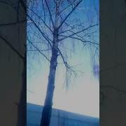До Слёз Рэп Про Подругу