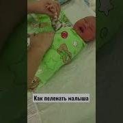 Как Пеленать Ребенка Новорожденного Видео