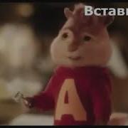 Бурундуки Поют Аварскую Песню