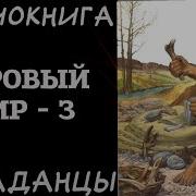 Полная Аудиокнига Попаданцы Суровый Мир Книга 3