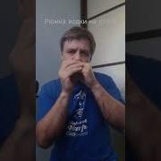Рюмка Водки На Столе На Губной Гармошке