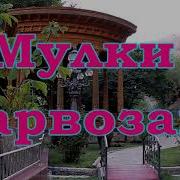 Мулки Дарвоз